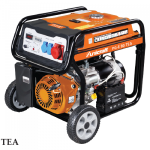 Generator electric PG-E 80 TEA